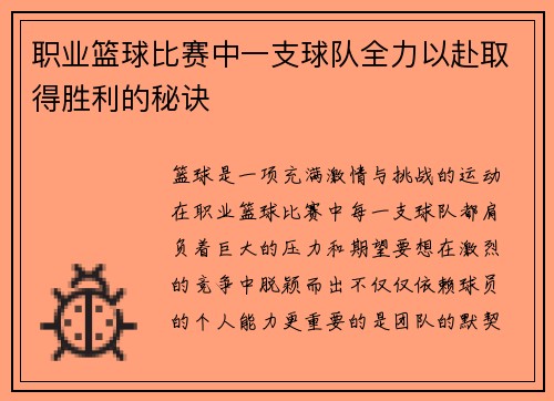 职业篮球比赛中一支球队全力以赴取得胜利的秘诀