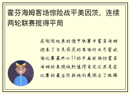 霍芬海姆客场惊险战平美因茨，连续两轮联赛揽得平局